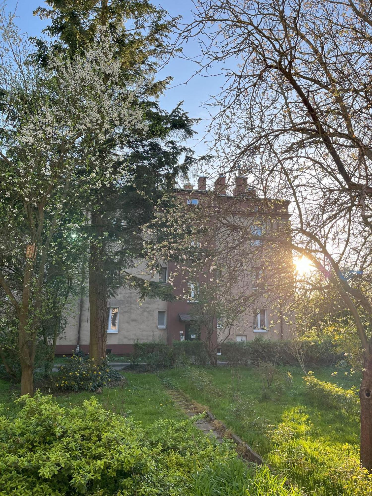 Greenthumb Praska Krakow Exterior photo